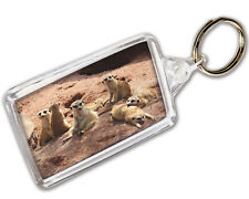 Meerkats Keyring Photo