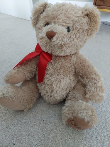 Audi teddy bear - teddy,
