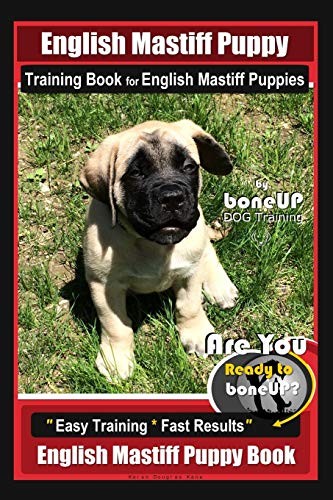 English mastiff puppy - english,