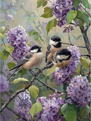 Wisteria garden diamond - wisteria,