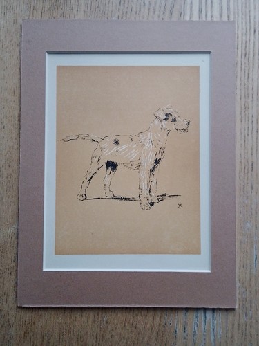 Terrier dog standing cecil - terrier,