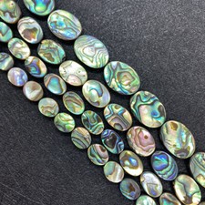 10PCS Natural Abalone Paua