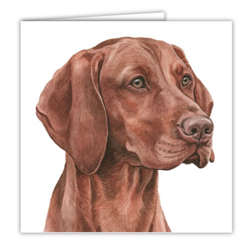 Hungarian vizsla greetings - hungarian,