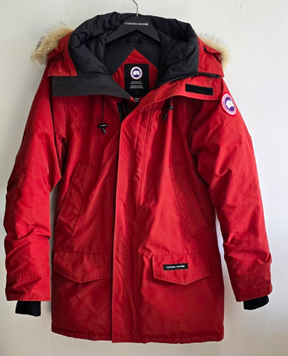 Canada goose arctic - canada,