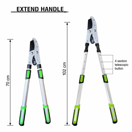Telescopic ratchet tree saw - ratchet,