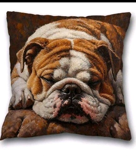Beautiful english bulldog - 1,
