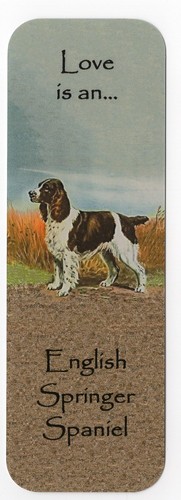 English springer spaniel dog - english,