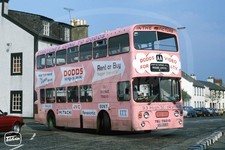Bus Photo - AA Motor Services