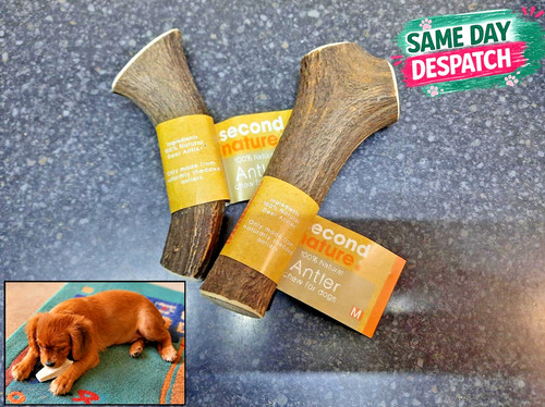 Second nature antler - second,