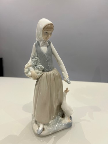 Nao girl with - with, basket