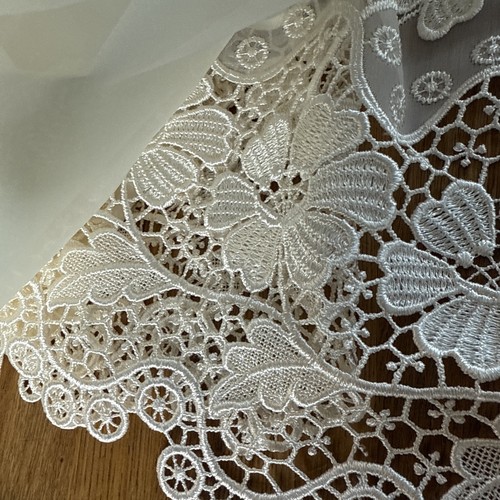 Pretty lightweight lace net - lace,