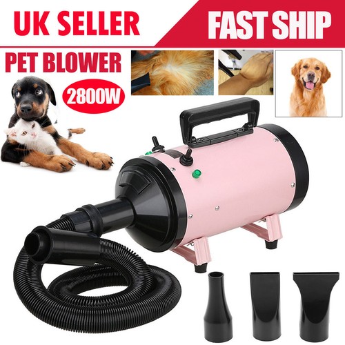 Dog cat pet 2800w - 2800w, speed