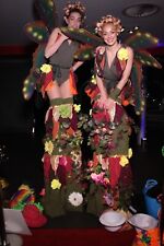 Stilt Walking Costumes 