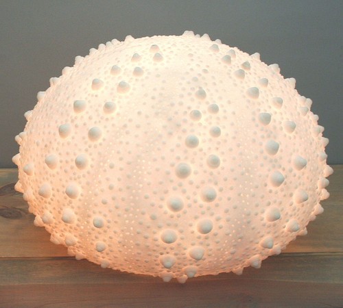 Beach ocean white - 13"d,