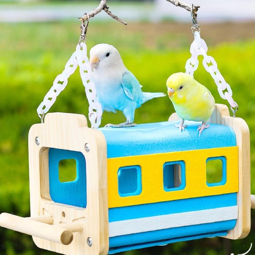 Parrot hammock shed - hammock, bird