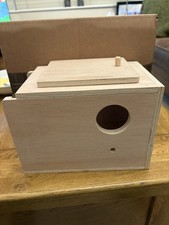 Budgie nest nesting - nest, breeding