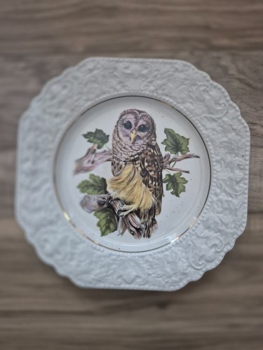 Lord nelson pottery - pottery, owl