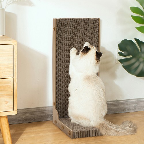Cat tree scratching - cat,