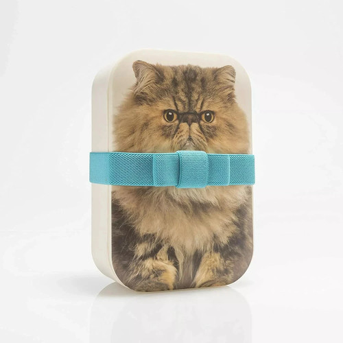 Cat lunch box mustard - cat,