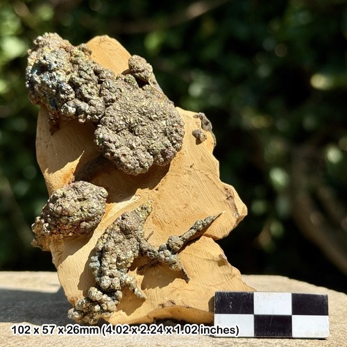 Rare rainbow pyrite supat - pyrite,