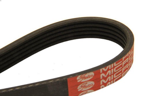 Ribbed belt dayco 5pk890 - v-ribbed,