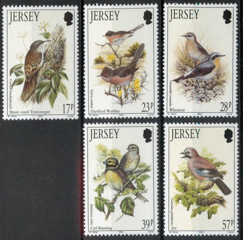 Jersey 1993 birds summer - of,