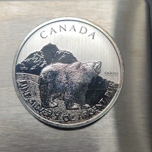 9999 fine silver 2011 - 1,