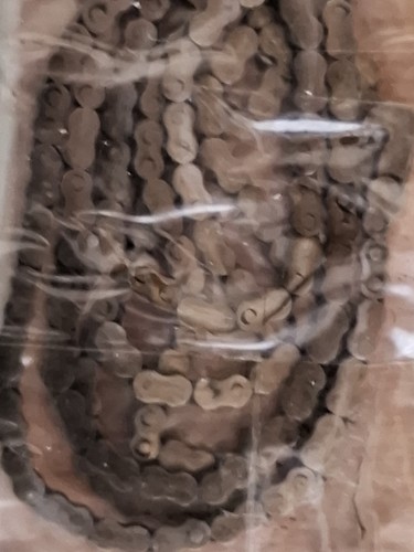 Clock fusee chain 1100 0 - chain,