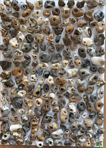 200 natural hag stones - hag, wica