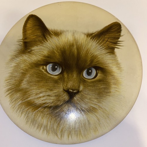 Cat trivet wall - wall, hanger