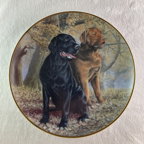 Lifelong companions plate - companions,