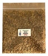 Dried Maggot | Tropical Fish