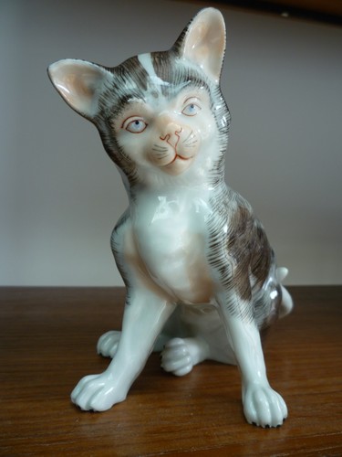 Superb dresden cat carl thomas - dresden,