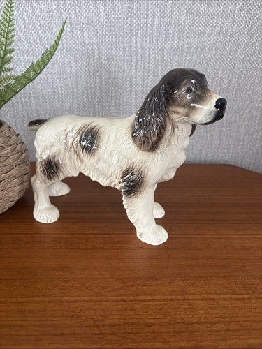 Vintage springer spaniel dog - spaniel,