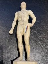 Human Body Acupuncture Model (26cm). Used clinically. In Good Condition.