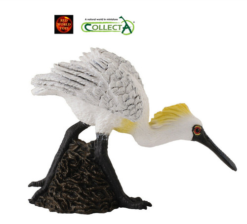 Black faced spoonbill walking - black,