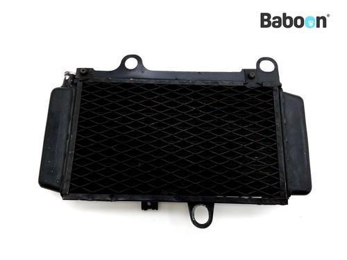 Radiator yamaha xtz 660 tenere - radiator,