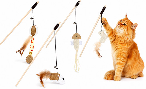 Interactive cat wand toy - interactive,