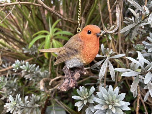 Vivid arts hanging robin - arts,