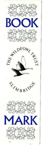 Slimbridge wetland centre - slimbridge,