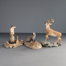 Border Fine Arts Wildlife -