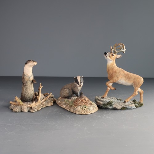 Border fine arts - border,