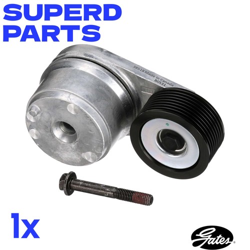Multi belt tensioner - belt,