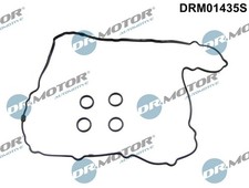 LEFT DRM01435S GASKET SET