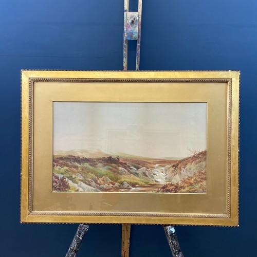 Large victorian moors - large,