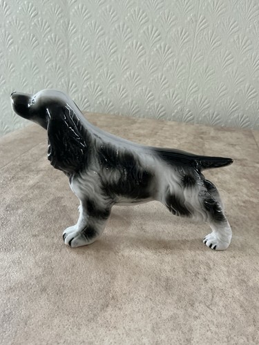 Vintage english springer - vintage,