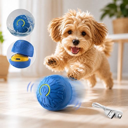 Smart automatic rolling - automatic, dog