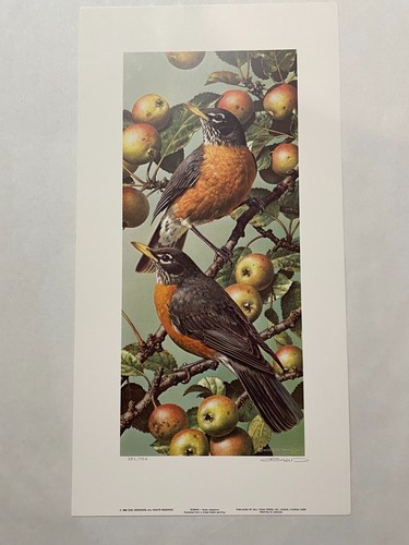 Carl brenders robins - brenders,