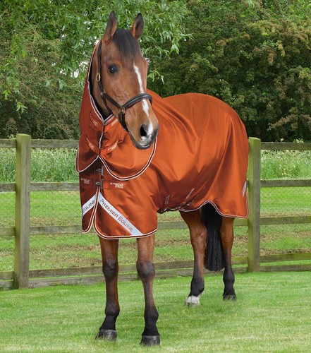 Premier equine stratus - equine,