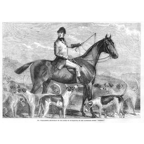 Hunting williamson huntsman - mr,